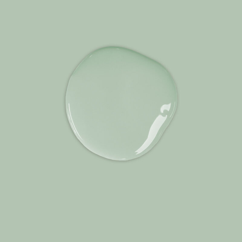 Duck Egg Blue - Annie Sloan Chalk Paint™